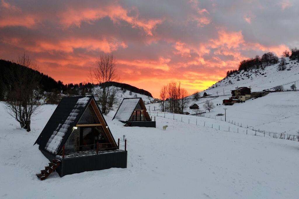 RoiA Chalet Fundata 1 Images