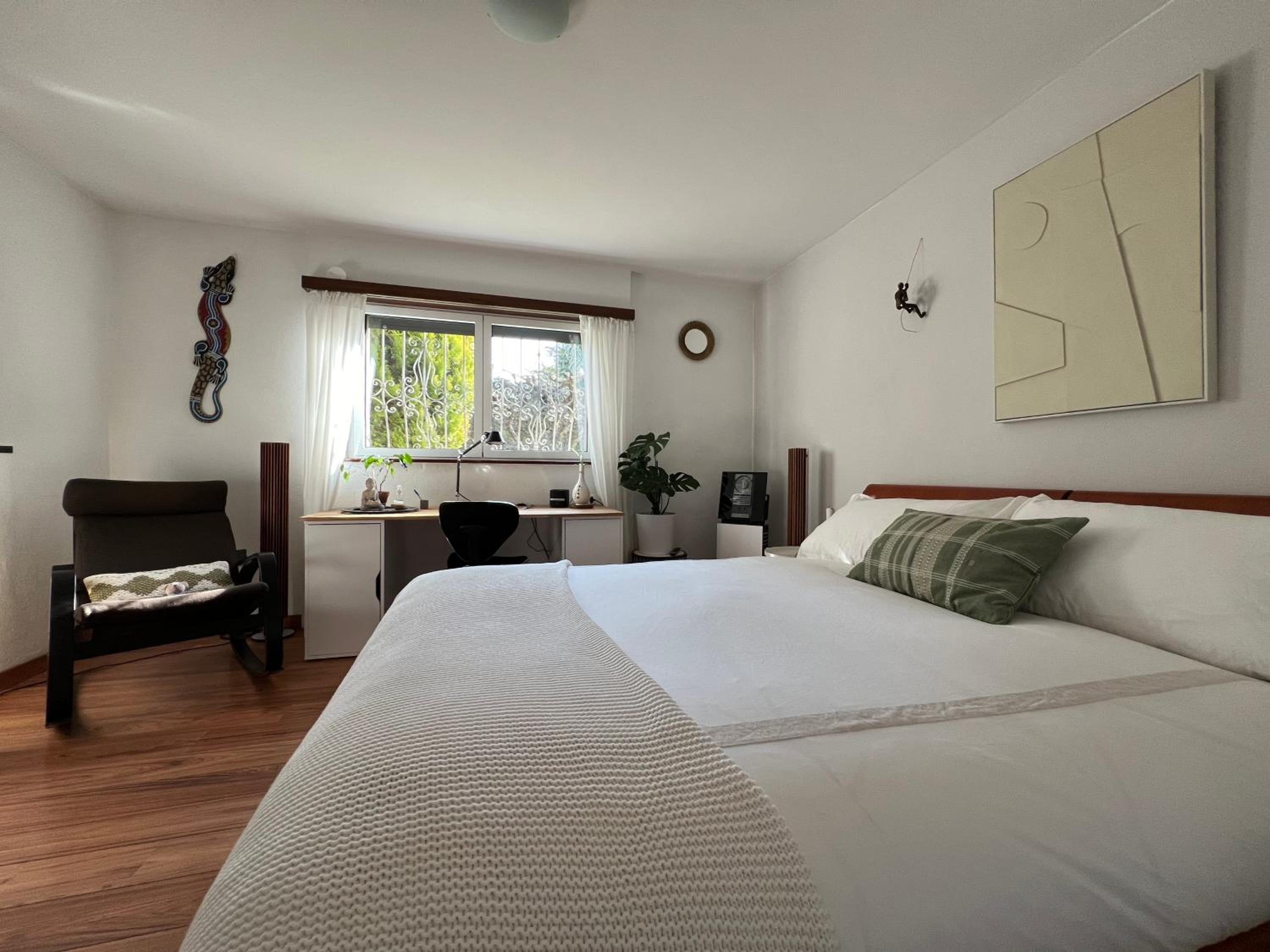 The Comfy Apartment Images