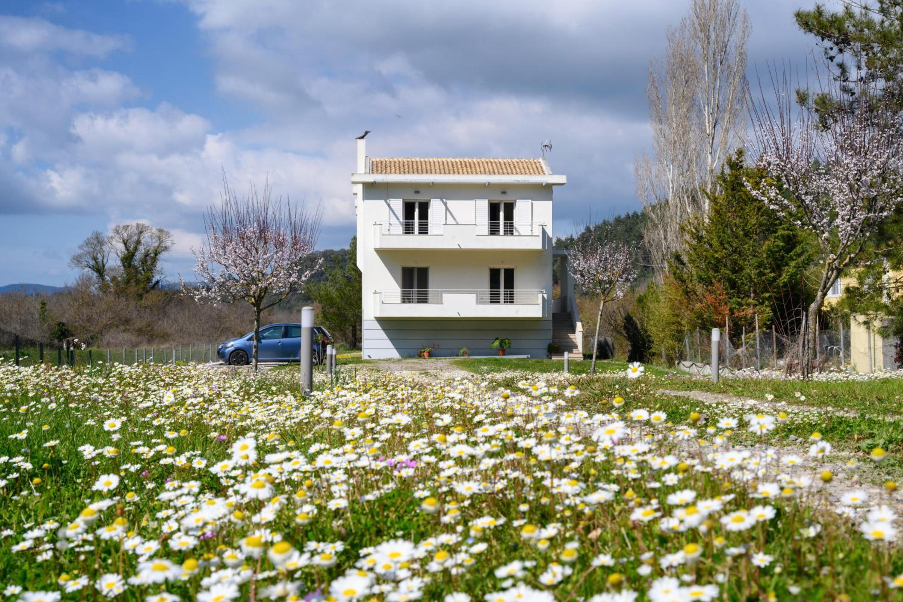 Aliki`s Luxury Suite with view, pet friendly! Images