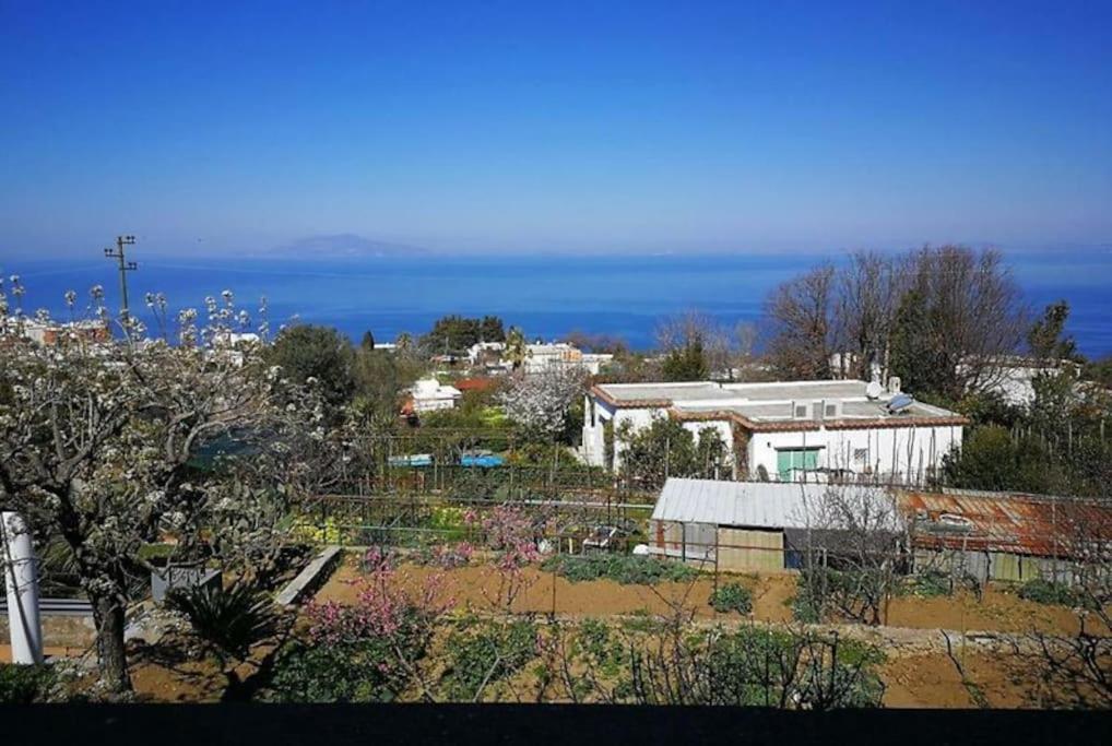 Timpone Guest house Images