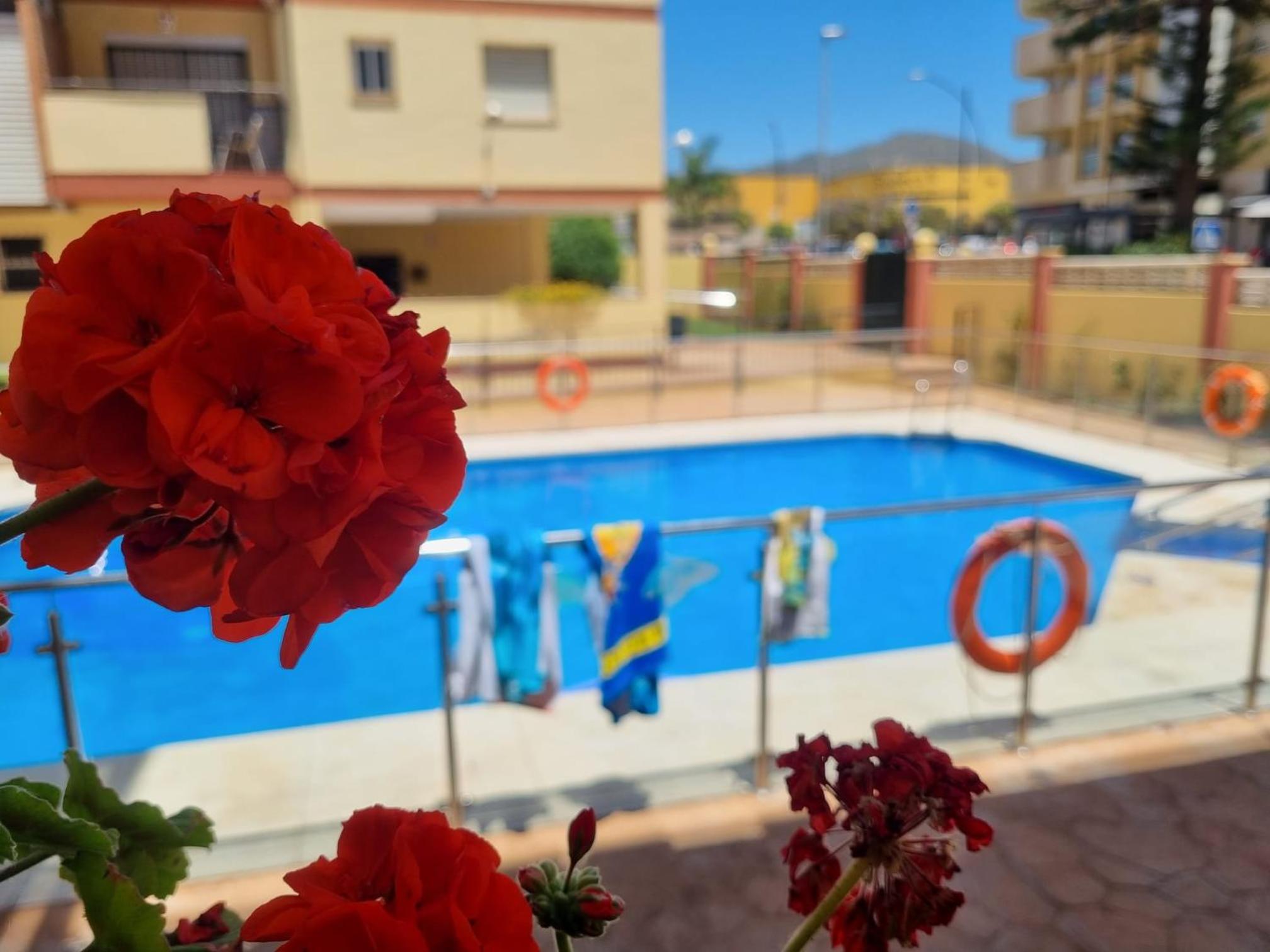 El Rincón de Eli Images