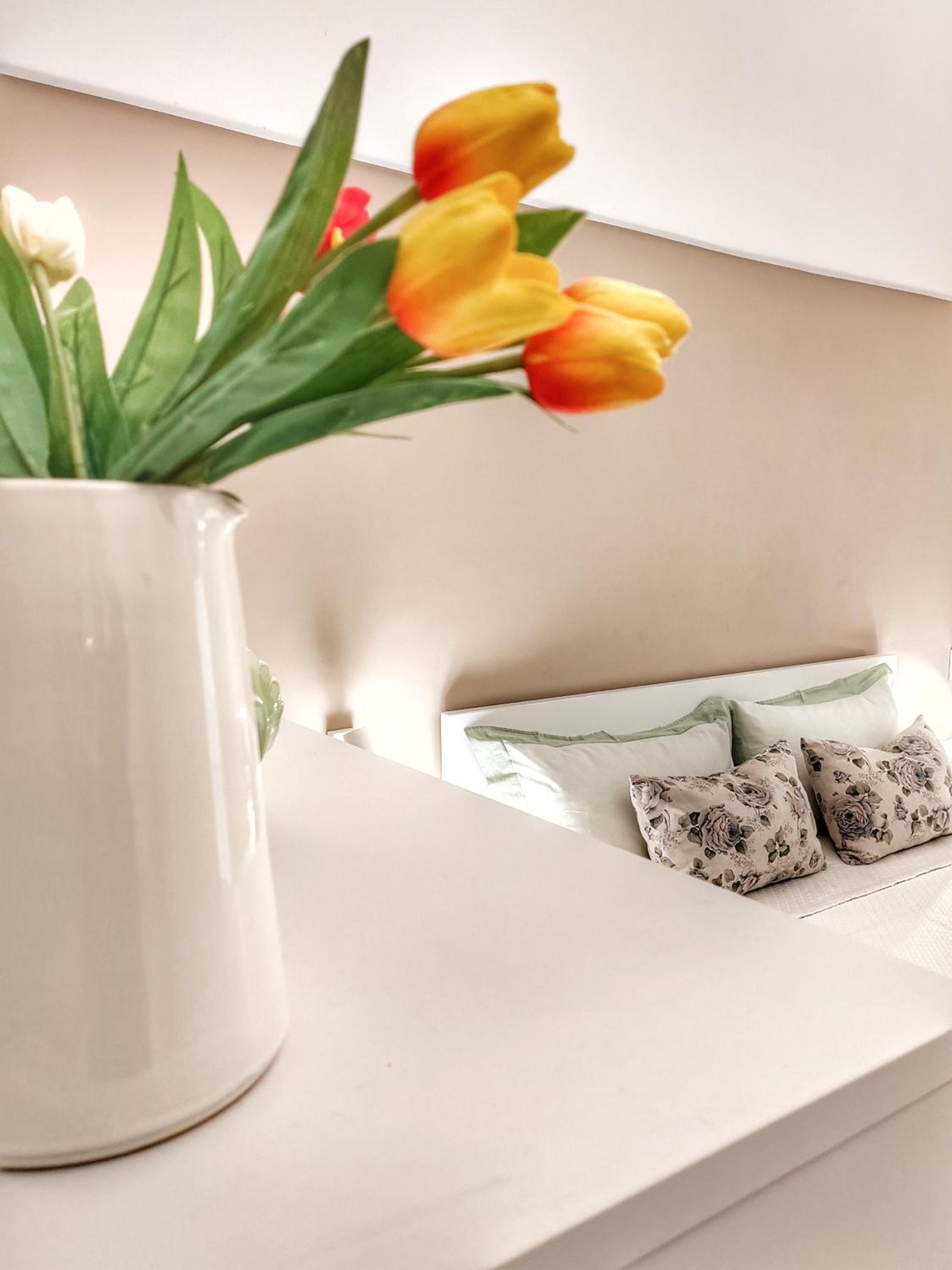 Suite 187 Images