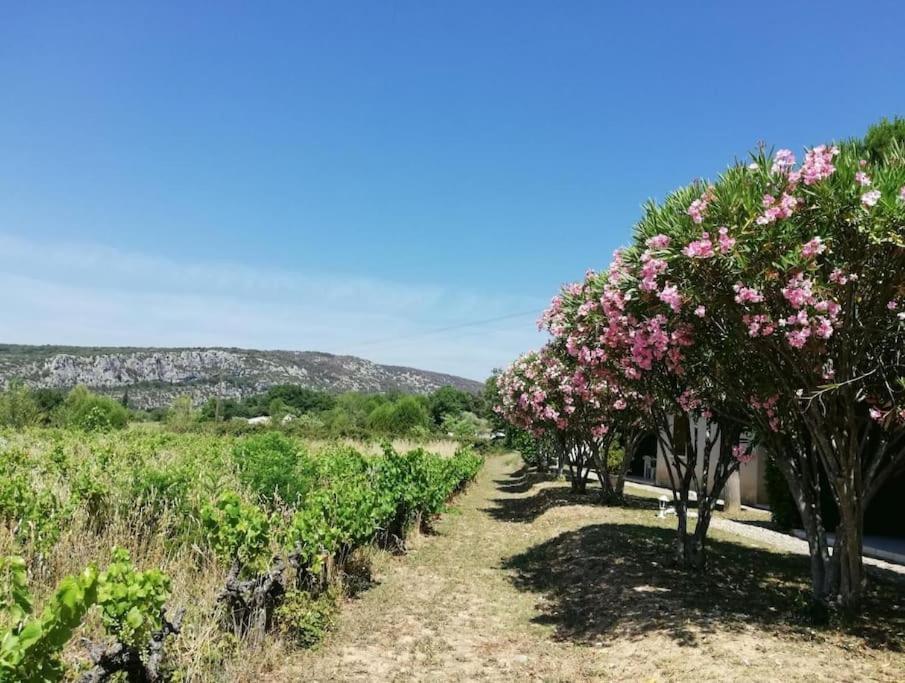 Maison à louer en Ardèche du sud Images