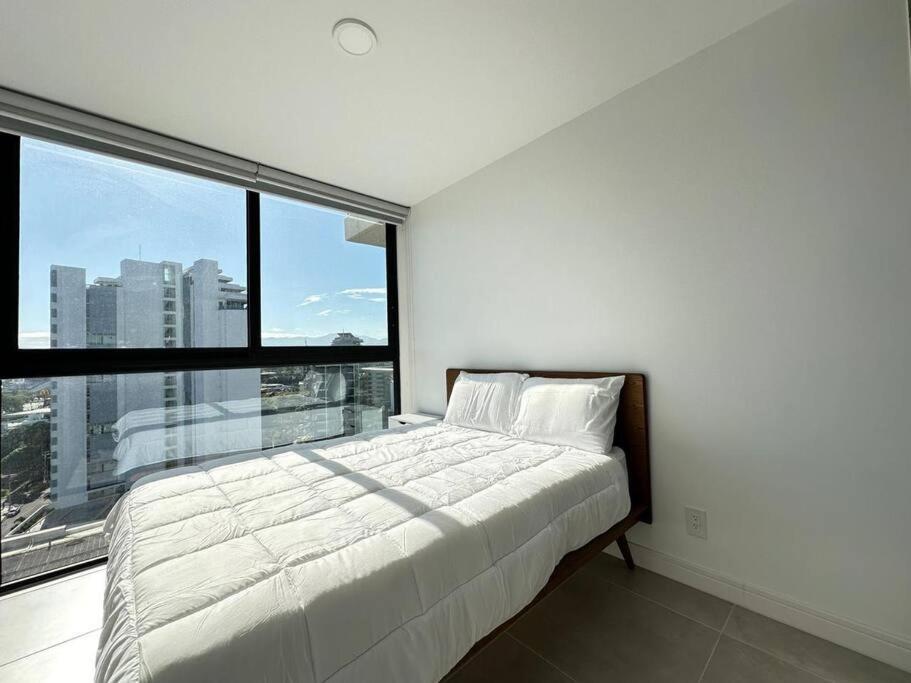 Apartment in San José close to restaurants Images