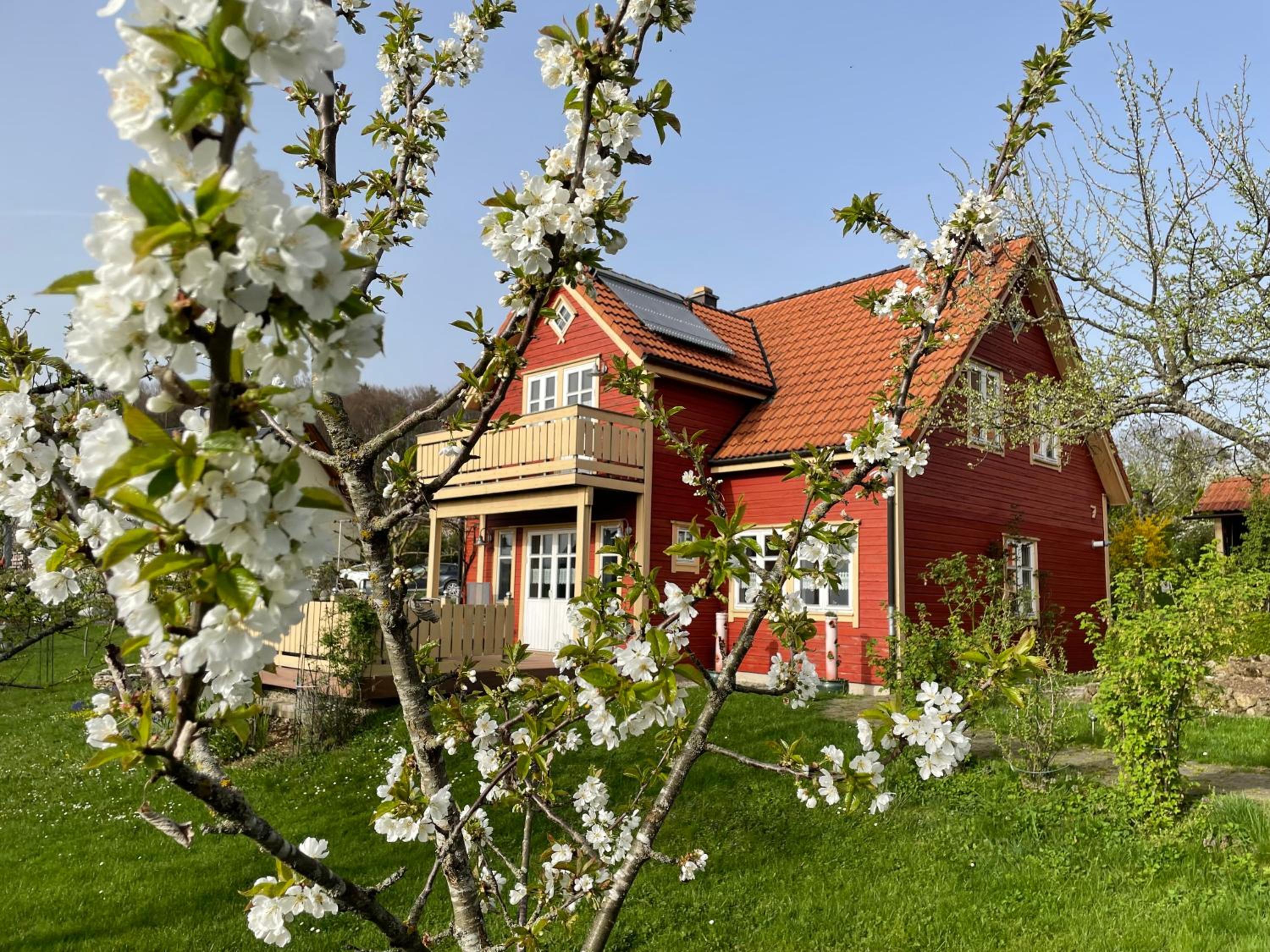 Holzferienhaus Images
