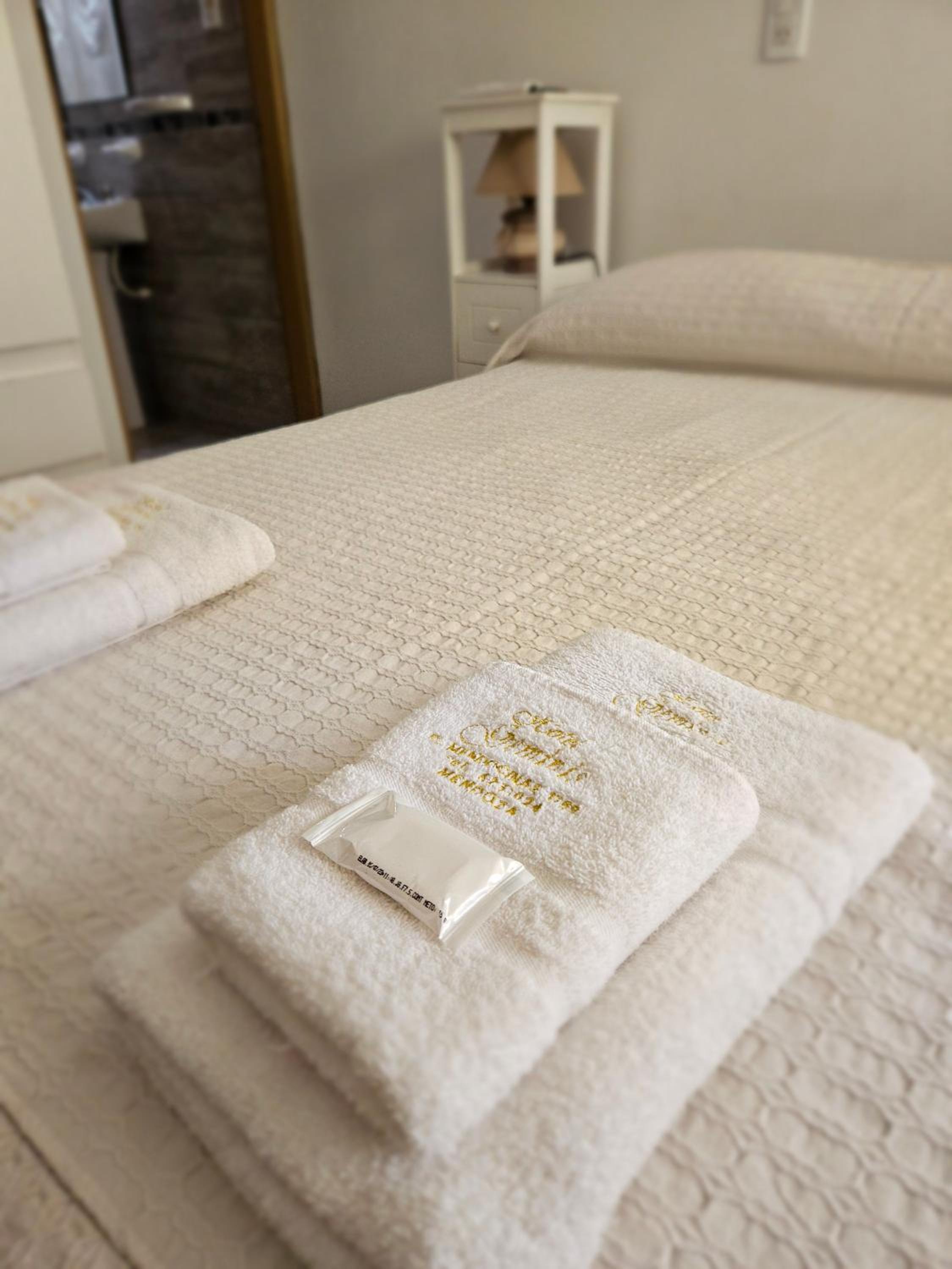 Hotel Geminis