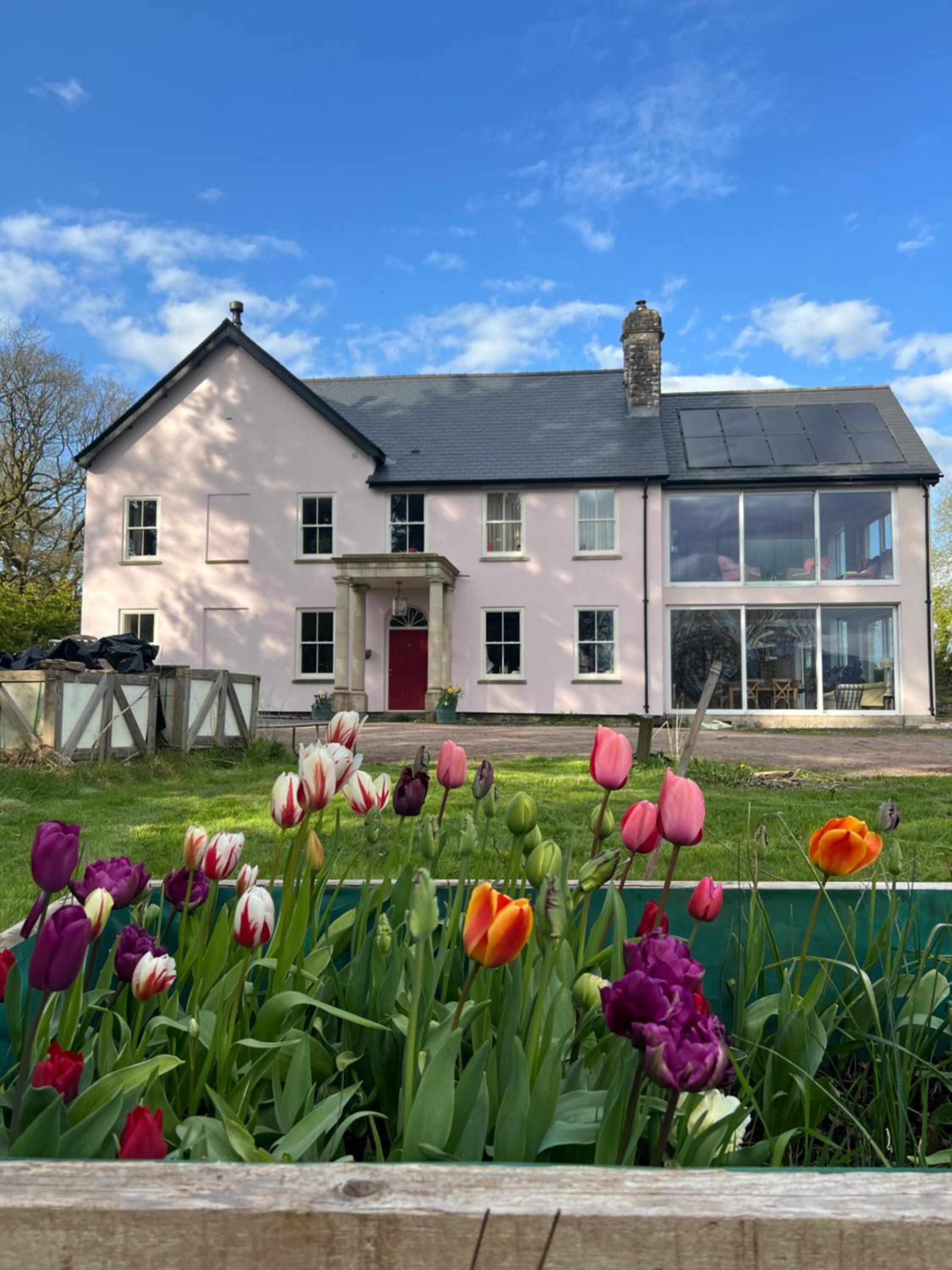 The Pink House Images