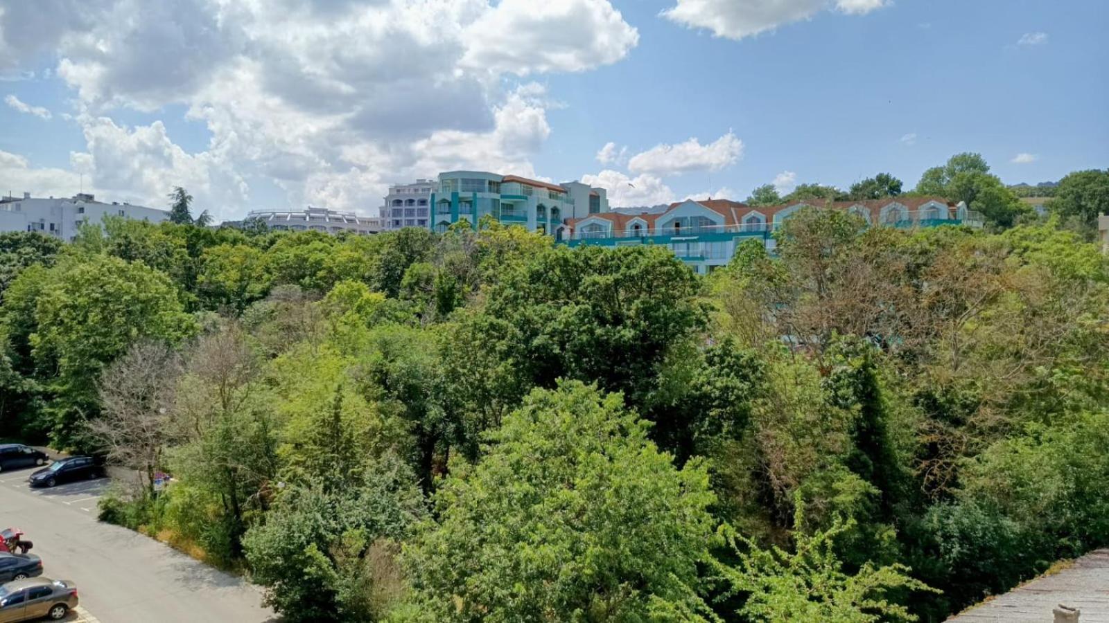 Golden Line Park Images