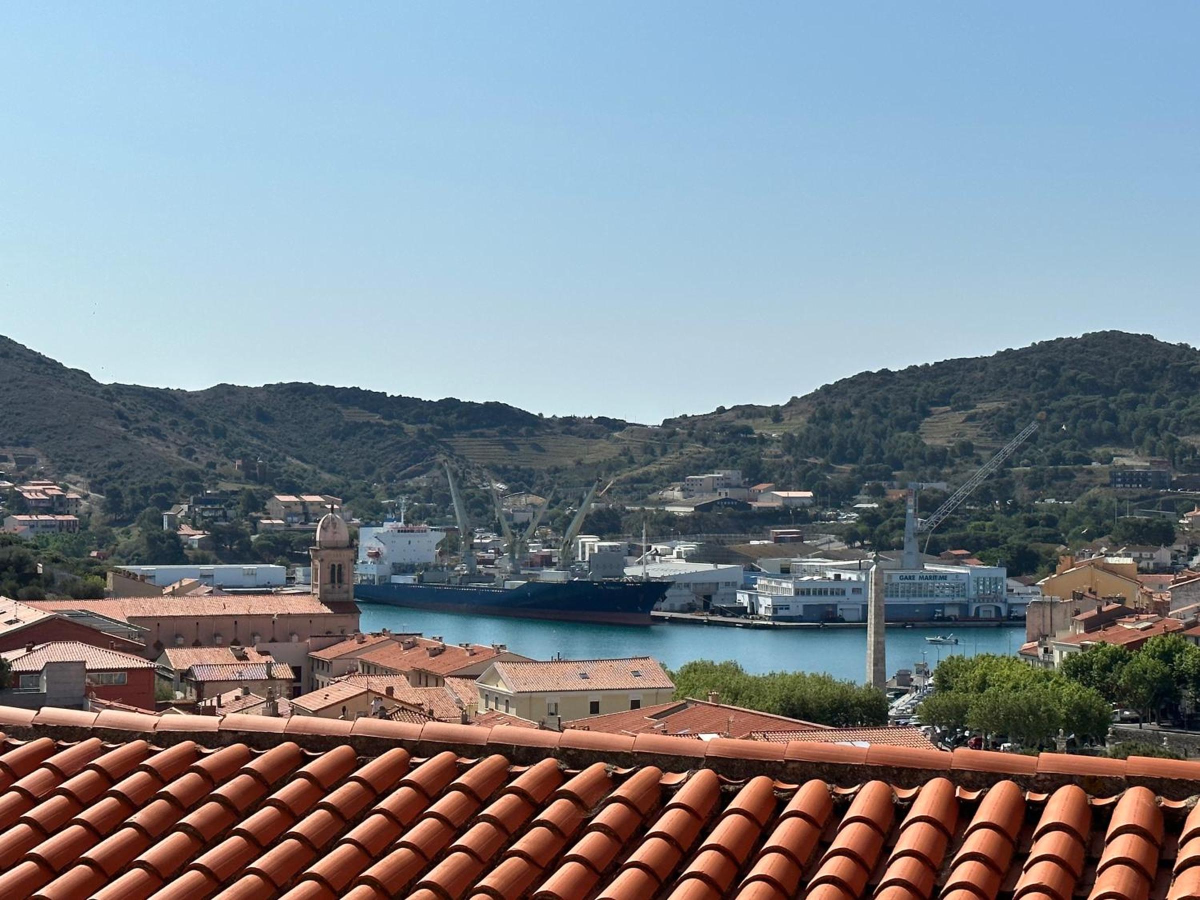 Port-Vendres - T2 avec double terrasse et parking privatif - FR-1-309-469 Images