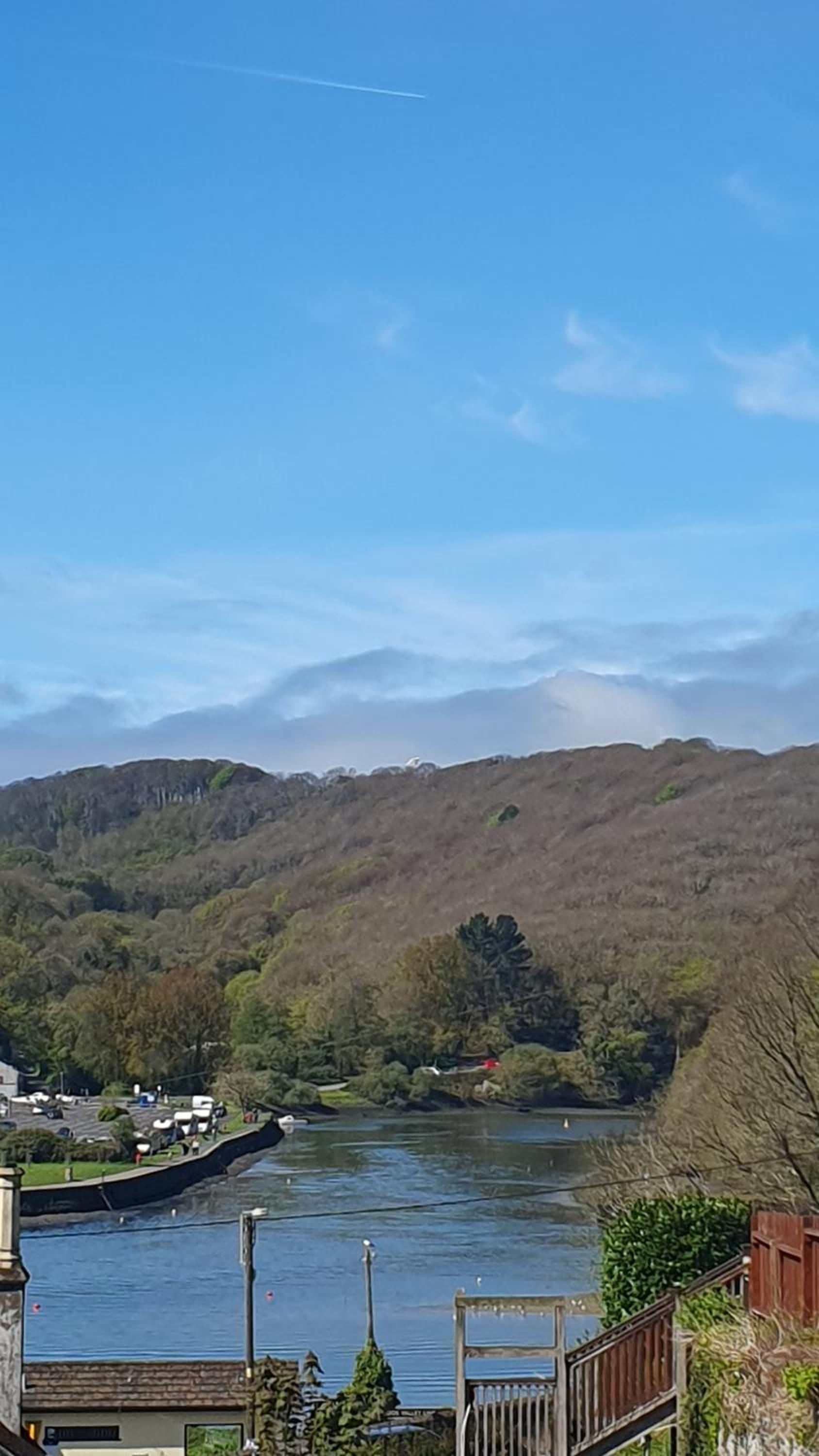 Driftwood in Looe River view and parking Images