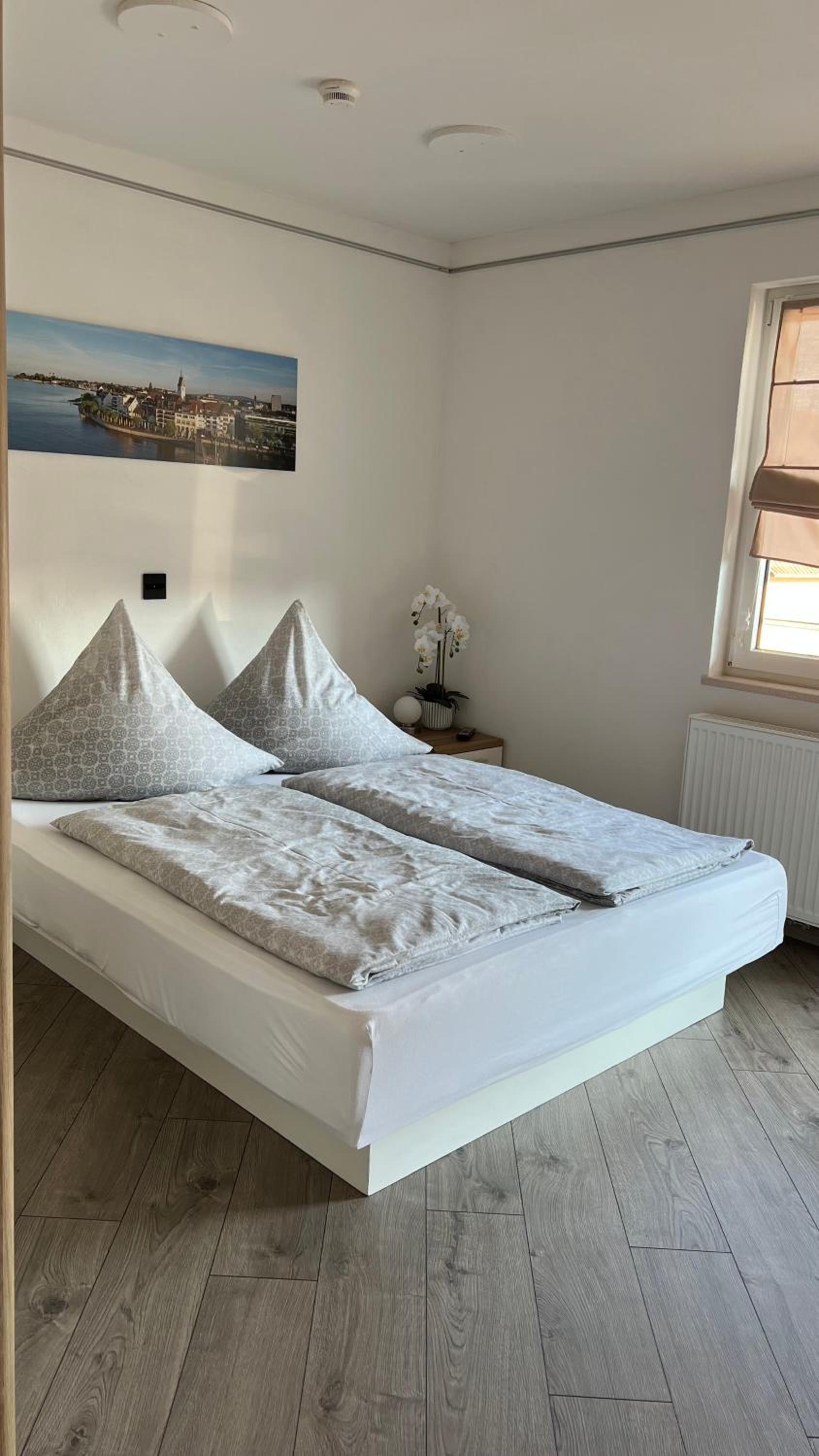 David´s Apartment