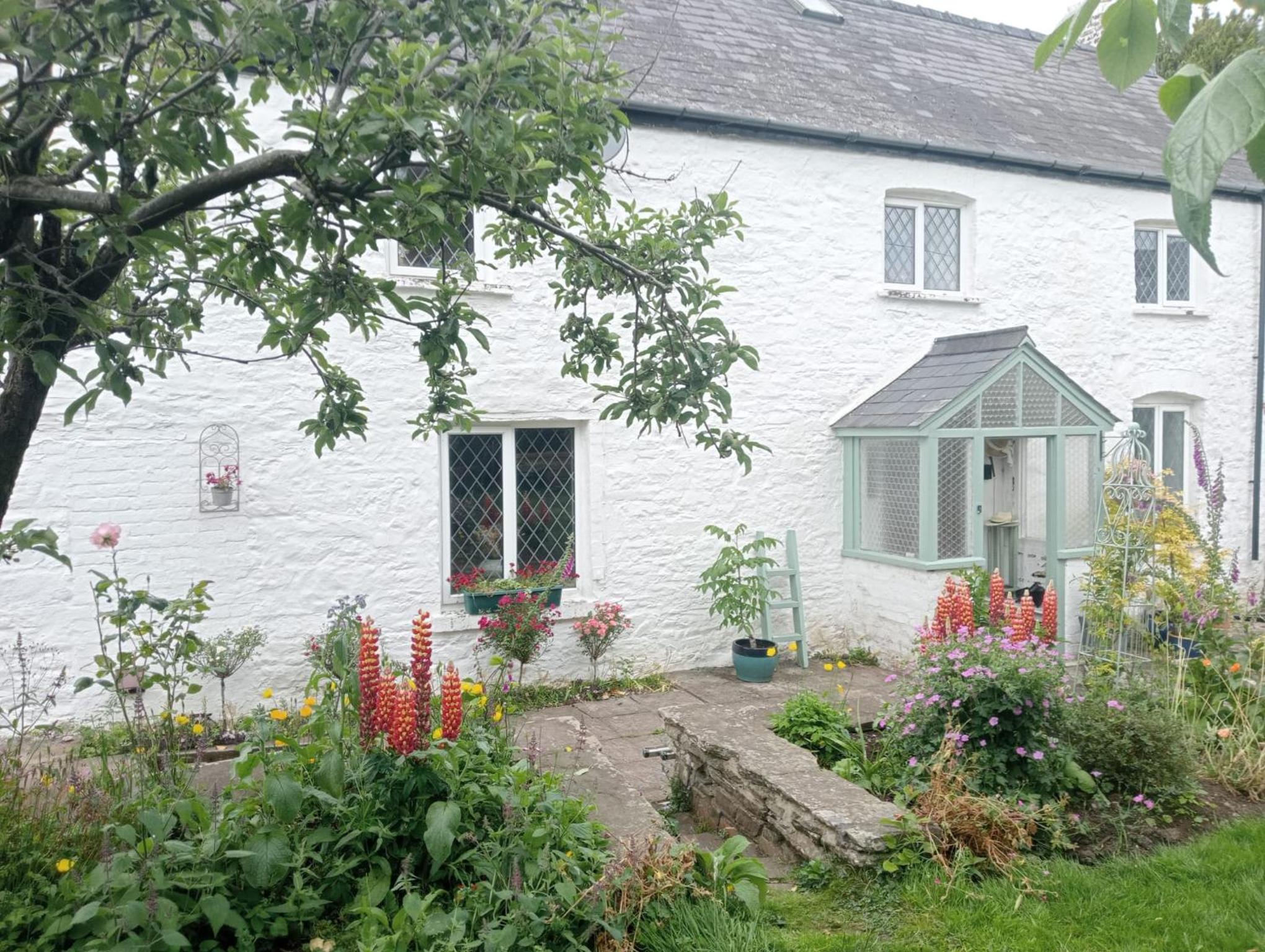 Ty Gwyn Farmhouse Images