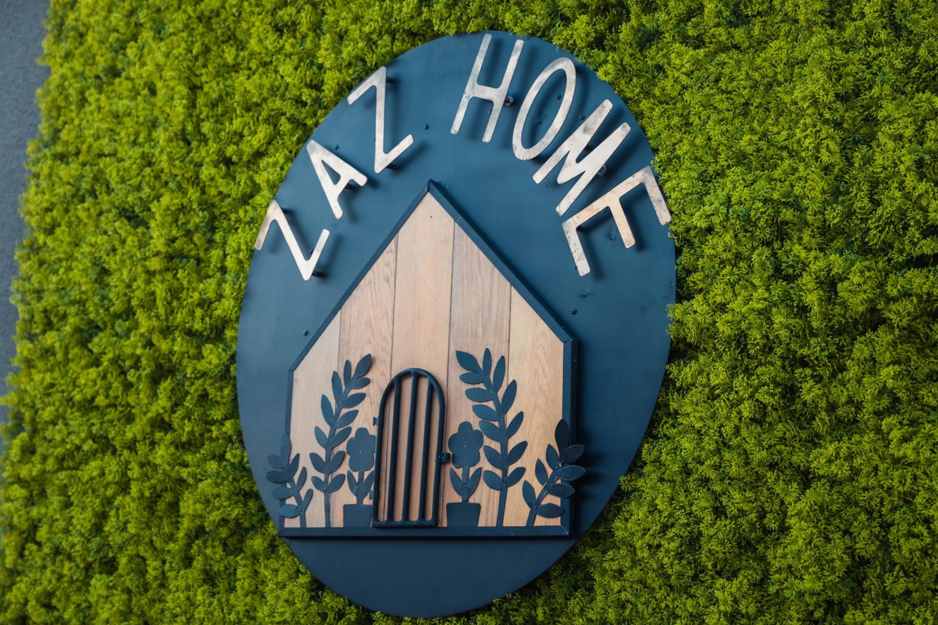 Zaz HOME Images