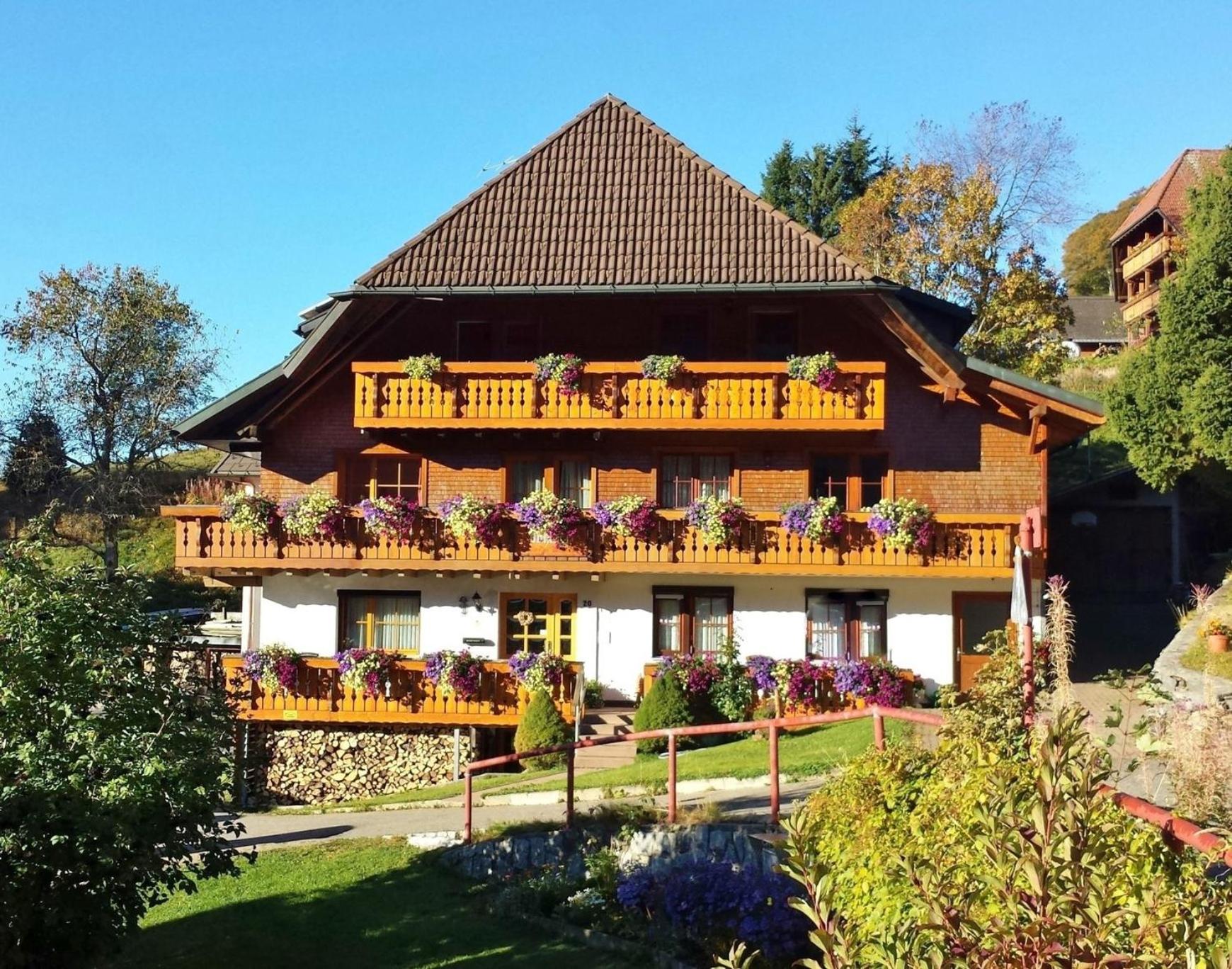 Bühlhof Todtnauberg Wohnung 2 Images