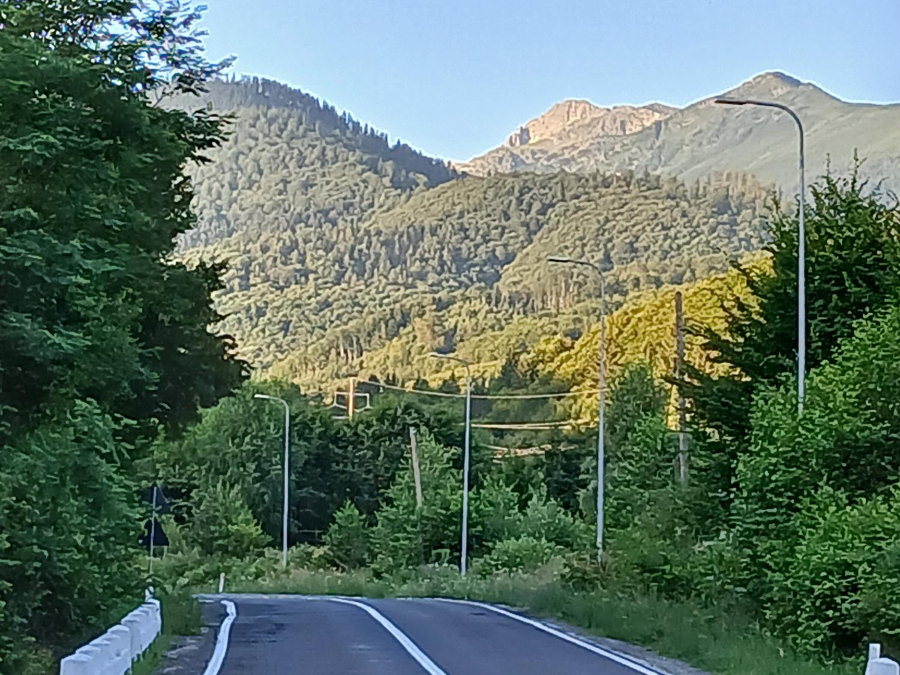 Pensiunea Dateș Images