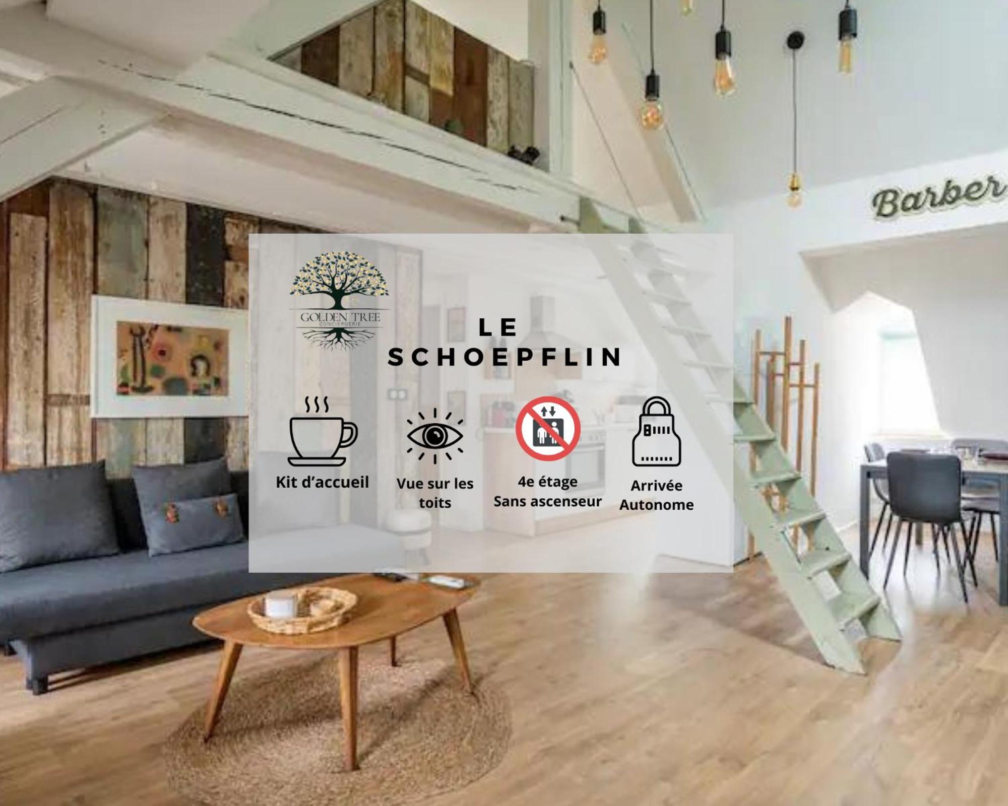 Le Schoepflin - Strasbourg hyper centre, superbe appartement Images