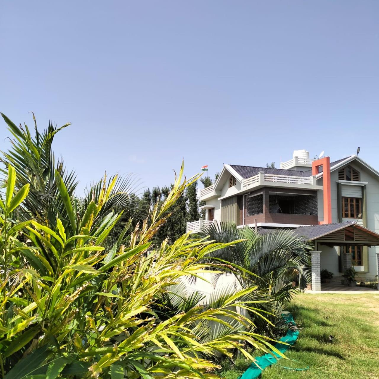 The Grassland homestay Images
