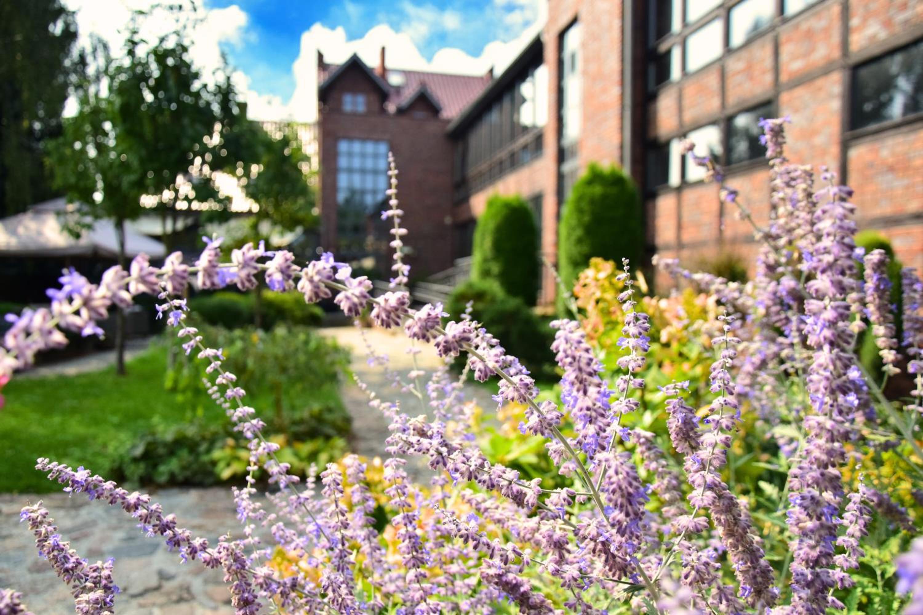Hotel Wartosław Images