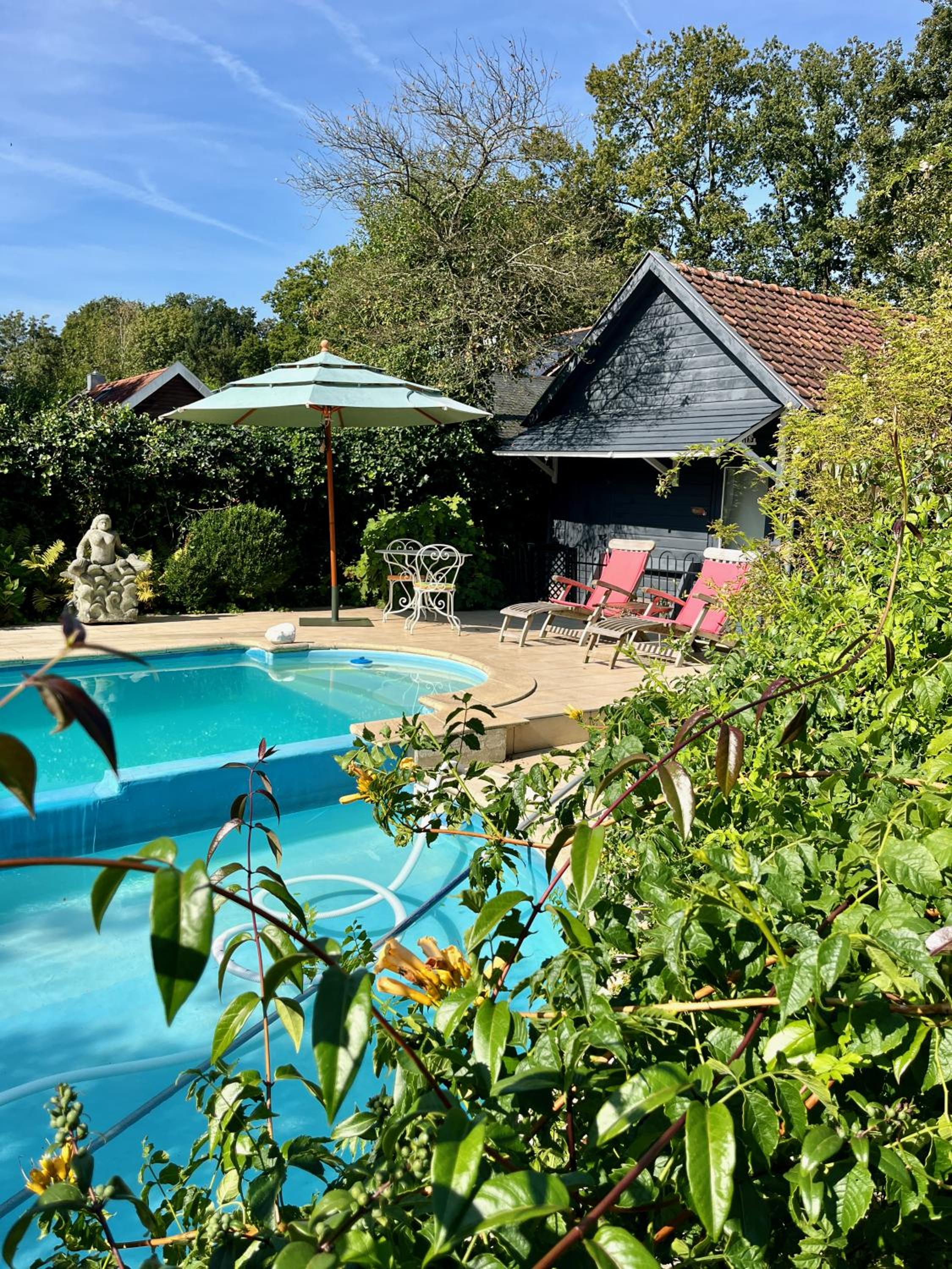 The Pool House Images