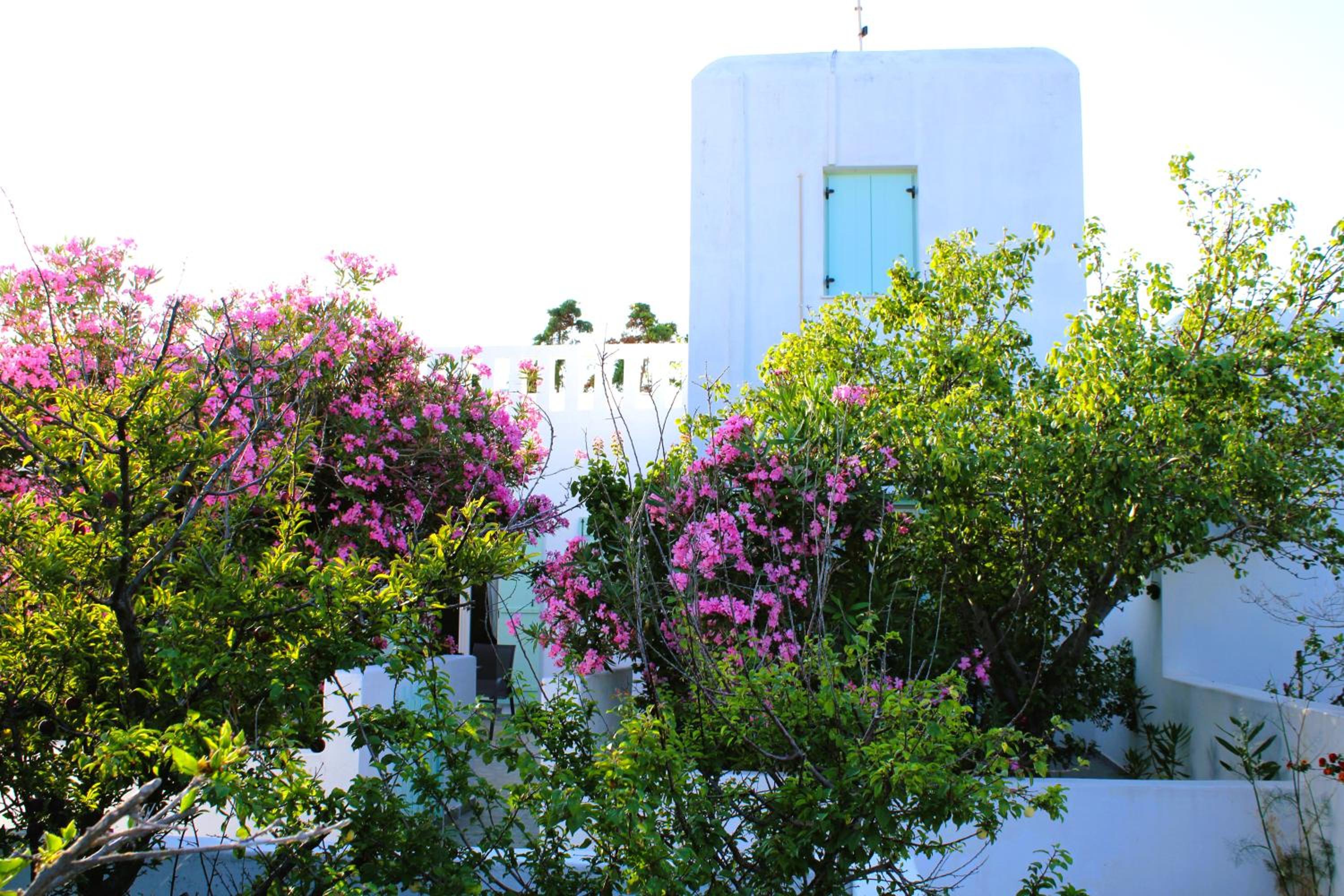 Astyvillas