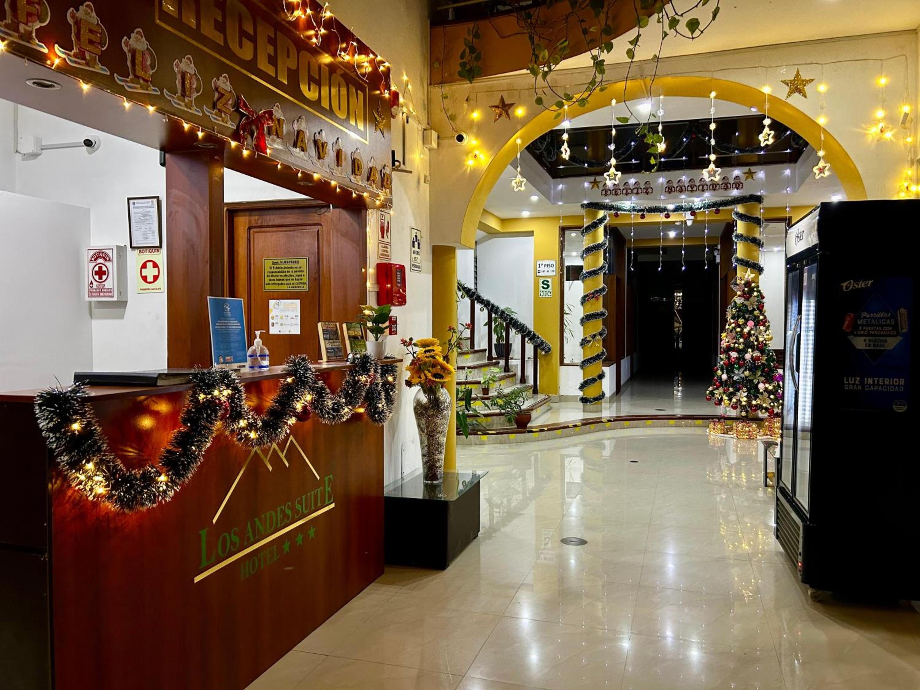 HOTEL LOS ANDES SUITE