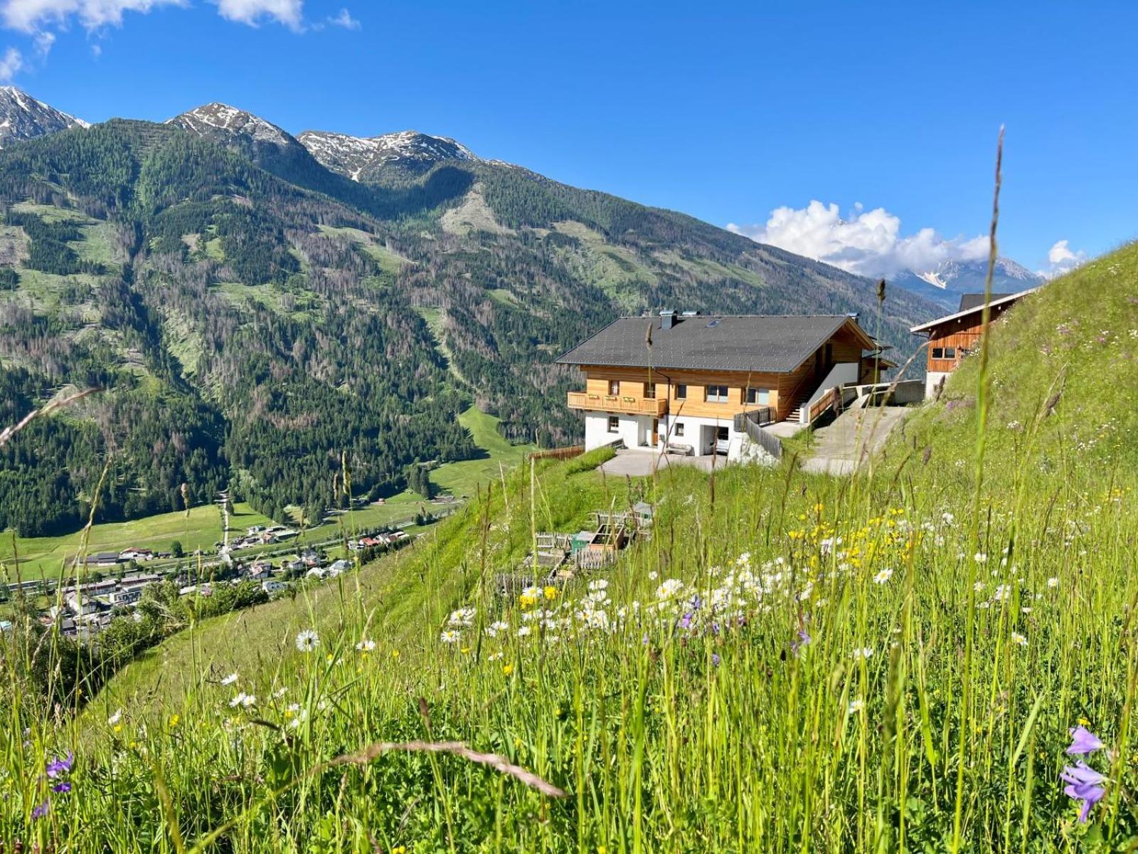 Riedlhof