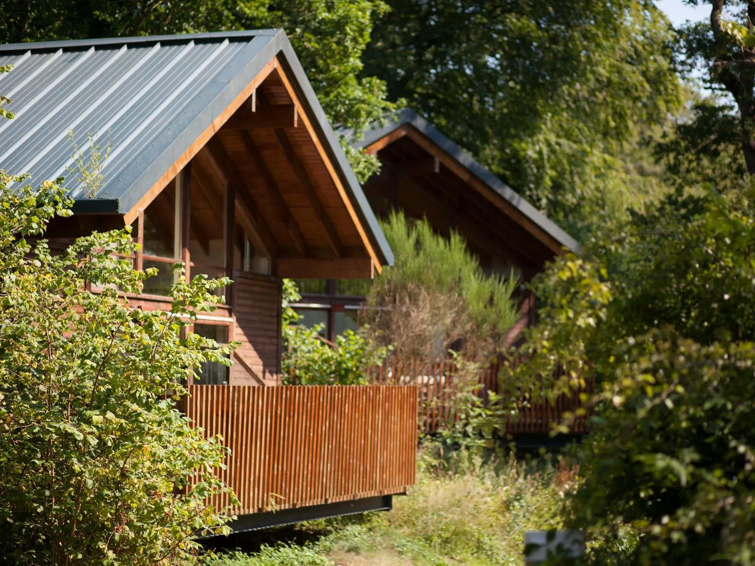 Deerpark Cabins, Cornwall - Forest Holidays