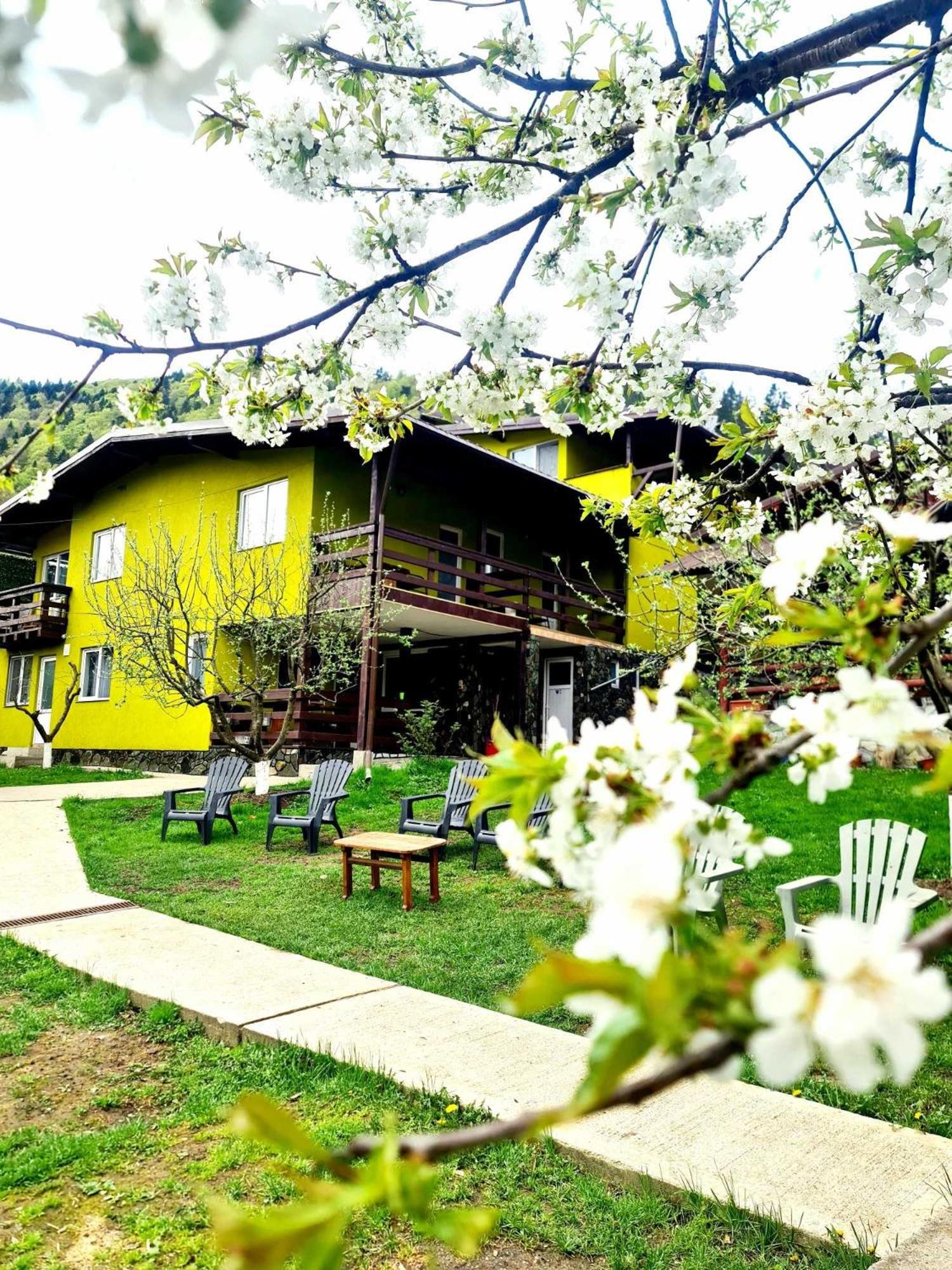 Vila Giulia Voineasa