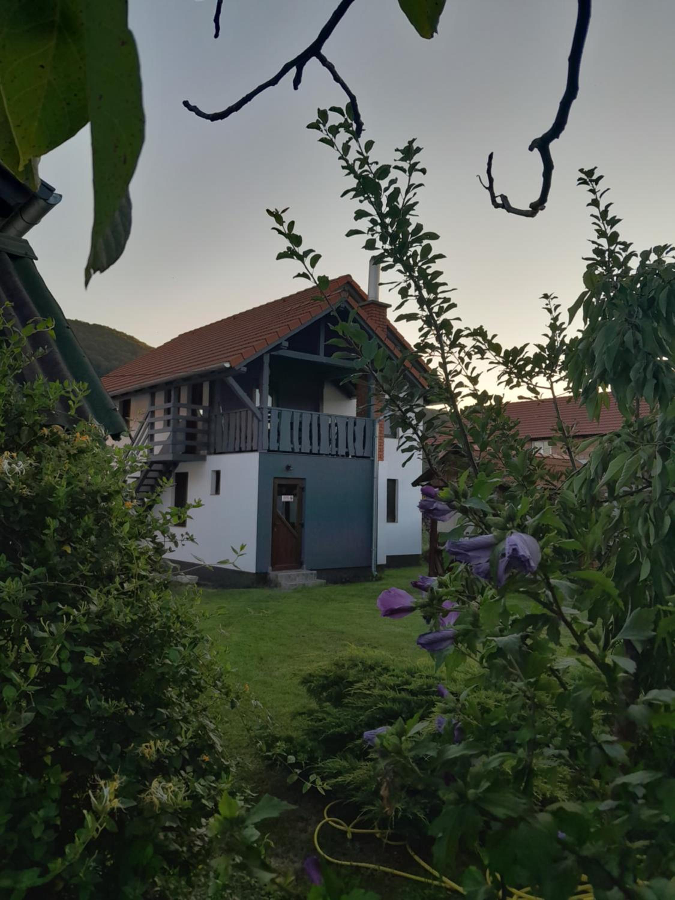Apartamente Ambrus Praid