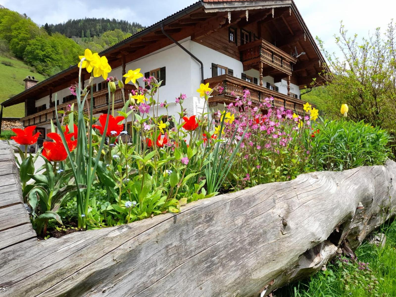 Mayringerlehen