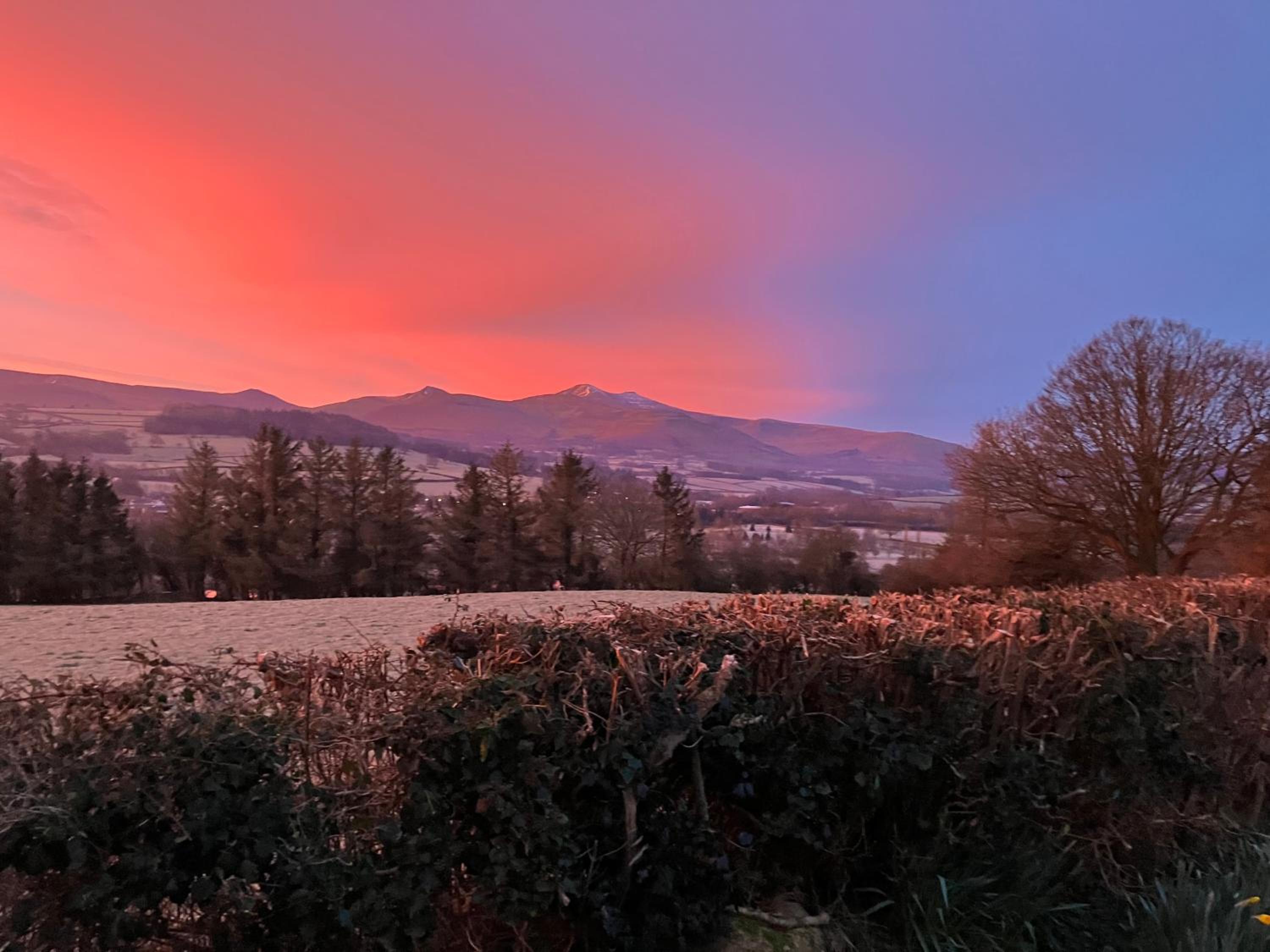 Beaconsview B&B