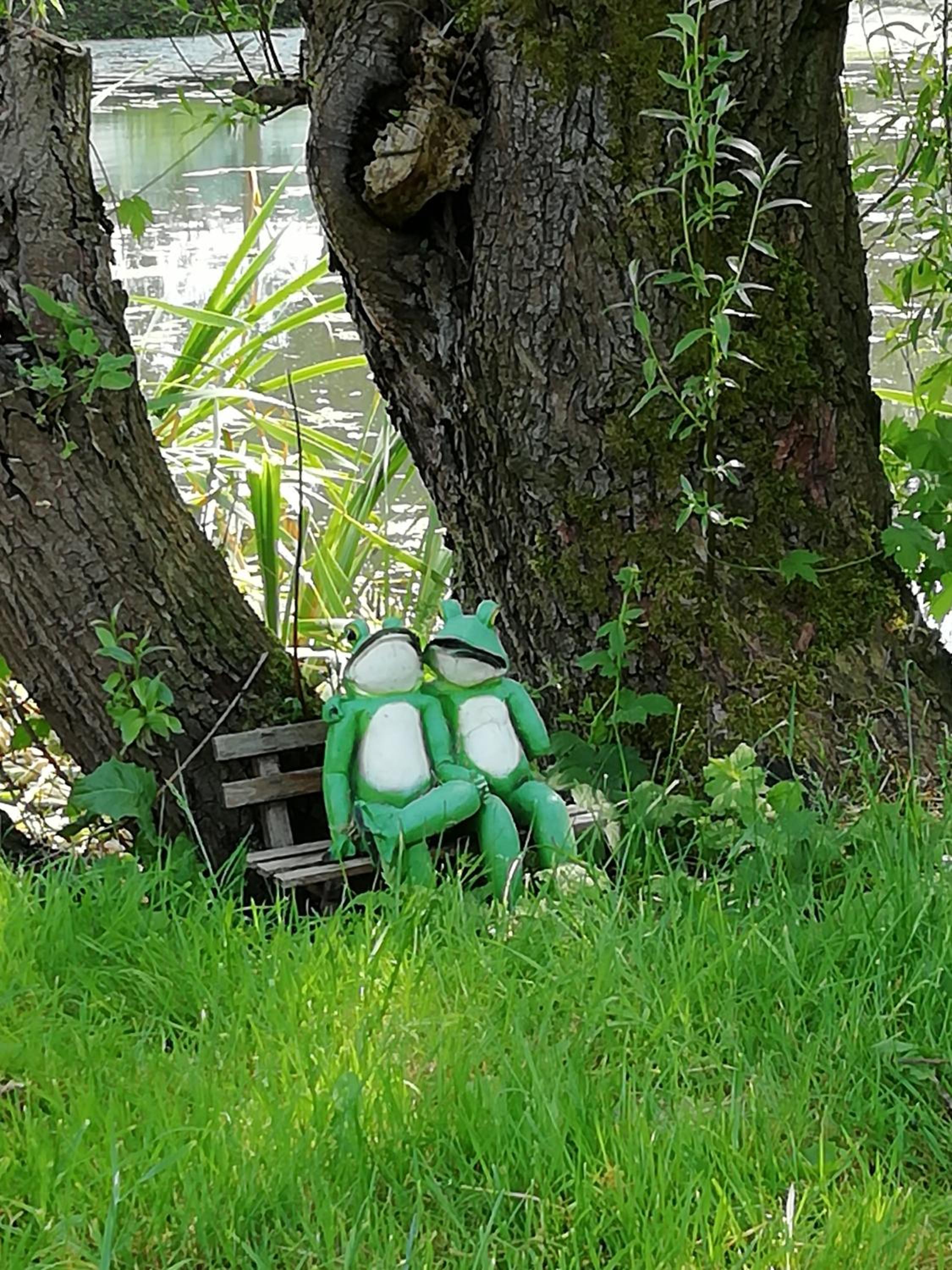 Am Froschteich