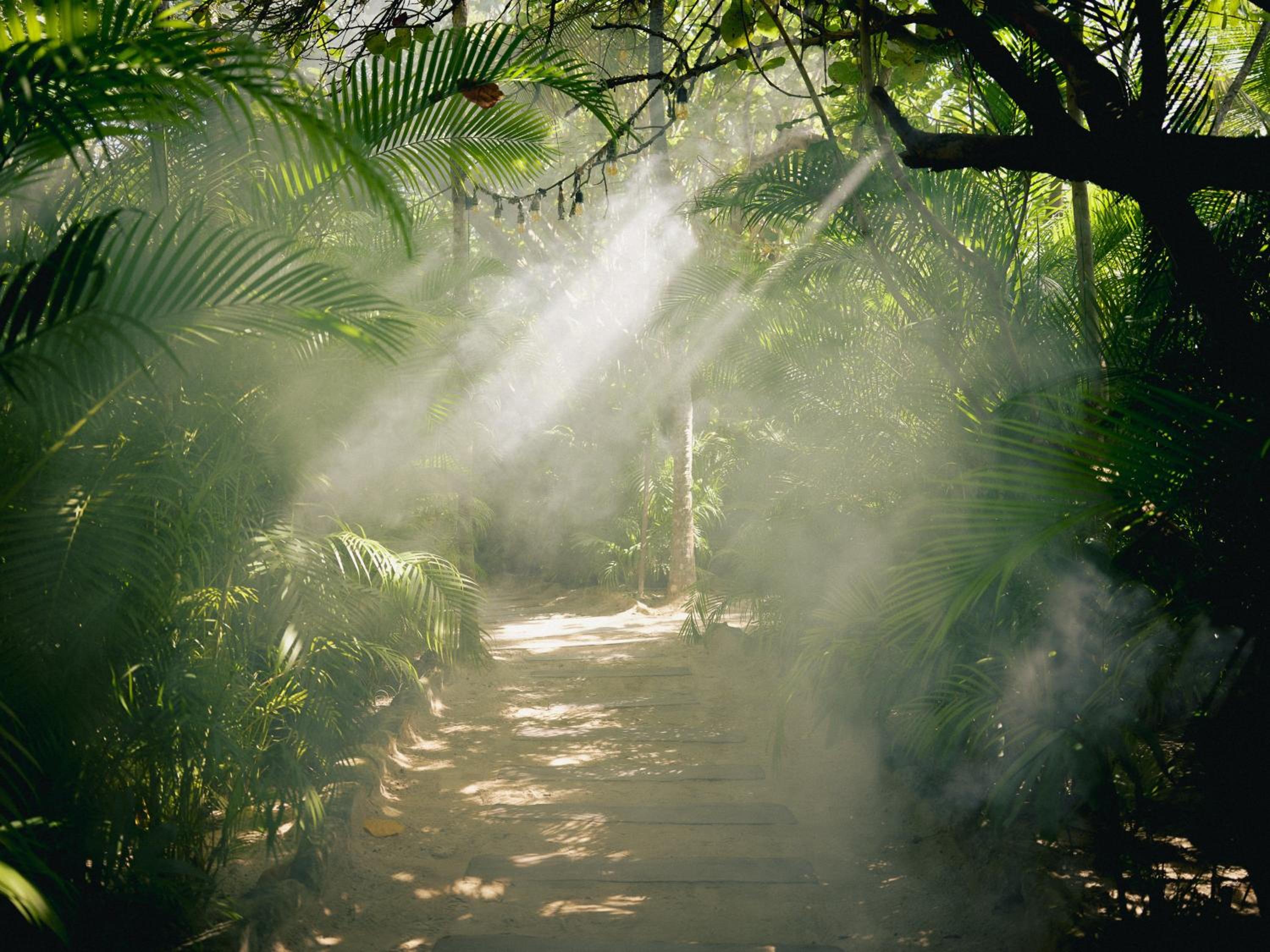 Nomade Temple Tulum