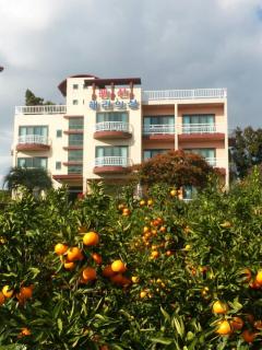 Hera Castle Pension - Seogwipo - 7