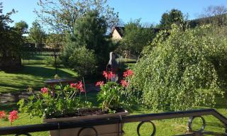 Gite du gros pommier - Saulxures - 6