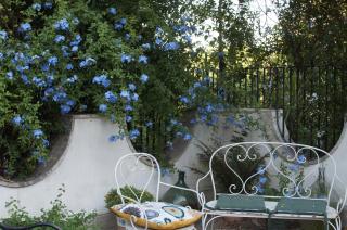 Il Giardino del Sole - 2