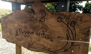 B&B Il Poggio di Fiore - Castellina Marittima - 5