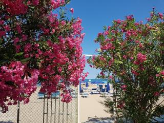 Hotel Gabbiano Beach - Vieste - 6