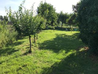 Valle Chiara - Ostellato - 6