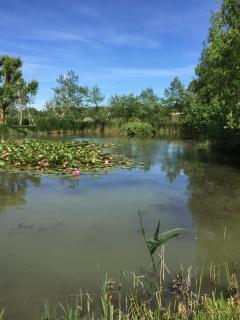 Jard marais océan - 5