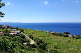 Small House Postup - Orebić (Sabbioncello) - 6