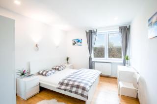 Apartament 8 - 0