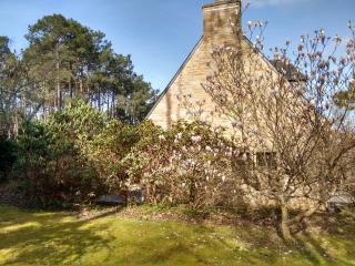 Bois de Kador - Morgat - 8