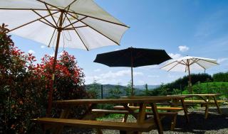 Apartamentos Rurales El Fresnu - Silvamayor - 3