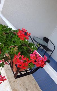 Bed and Breakfast MIRAMAR - Starigrad-Paklenica - 9