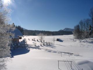 Pension Waldhof - Koppl - 2