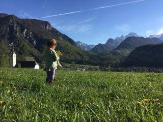 Country house Dovje - 2