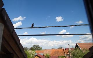 Casa Mosului - Transfăgărășan Bed & Breakfast - 1