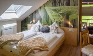 Hostellerie Les Bagenelles - Sainte-Marie-aux-Mines - 2