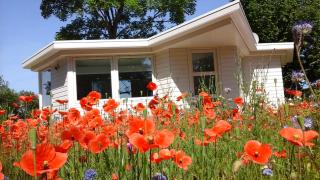 Het Findament Tiny house - Hilversum - 0